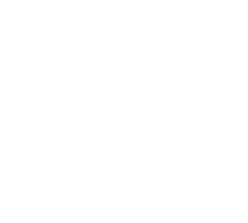 Logo Bina Trans Center