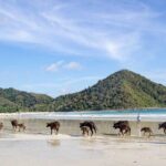 Pantai Selong Belanak