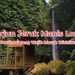 Air Terjun Jeruk Manis Lombok