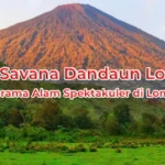 Bukit Savana Dandaun Lombok