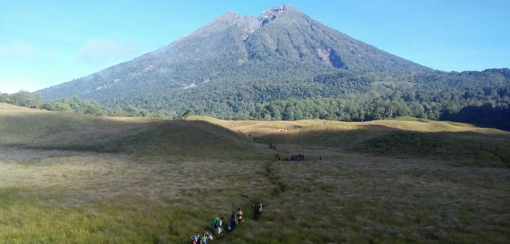 Pesona Bukit Savana Propok Lombok