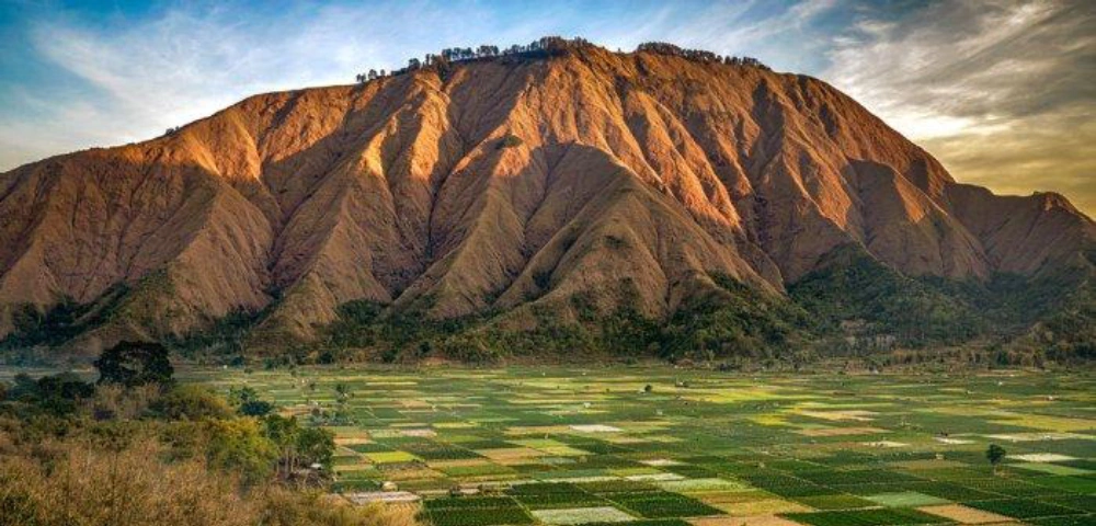 Pesona Bukit Selong Lombok